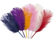 Various Colors Ostrich Quill Pens