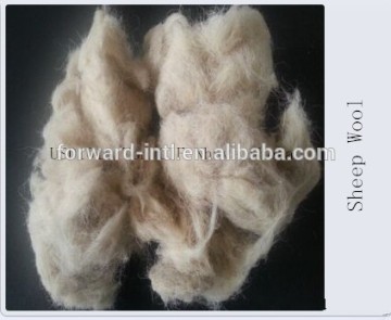 Good Wool Waste with Competitive price