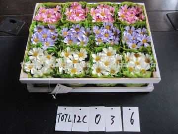 multicolor artificial flowers