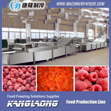 2015 New Design Fruit & Vegetable Processing Machines