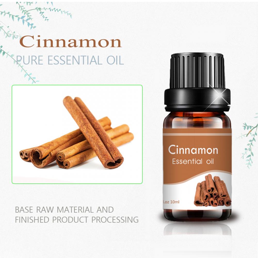 Cassia Cinnamon Bark Essential Oil Body Care는 스트레스를 완화합니다