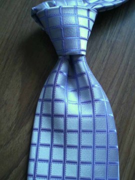 Blue Grid Polyester Tie