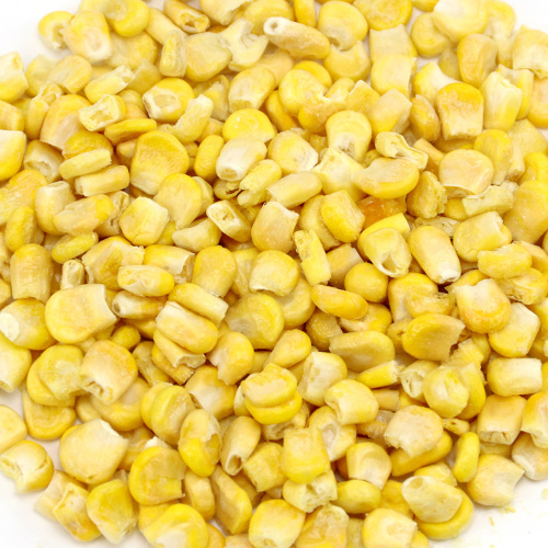 Non-GMO yellow corn for animal feed