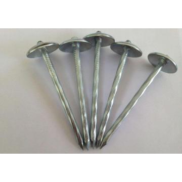 Bester galvanisierter Twist Shank Roofing Nail