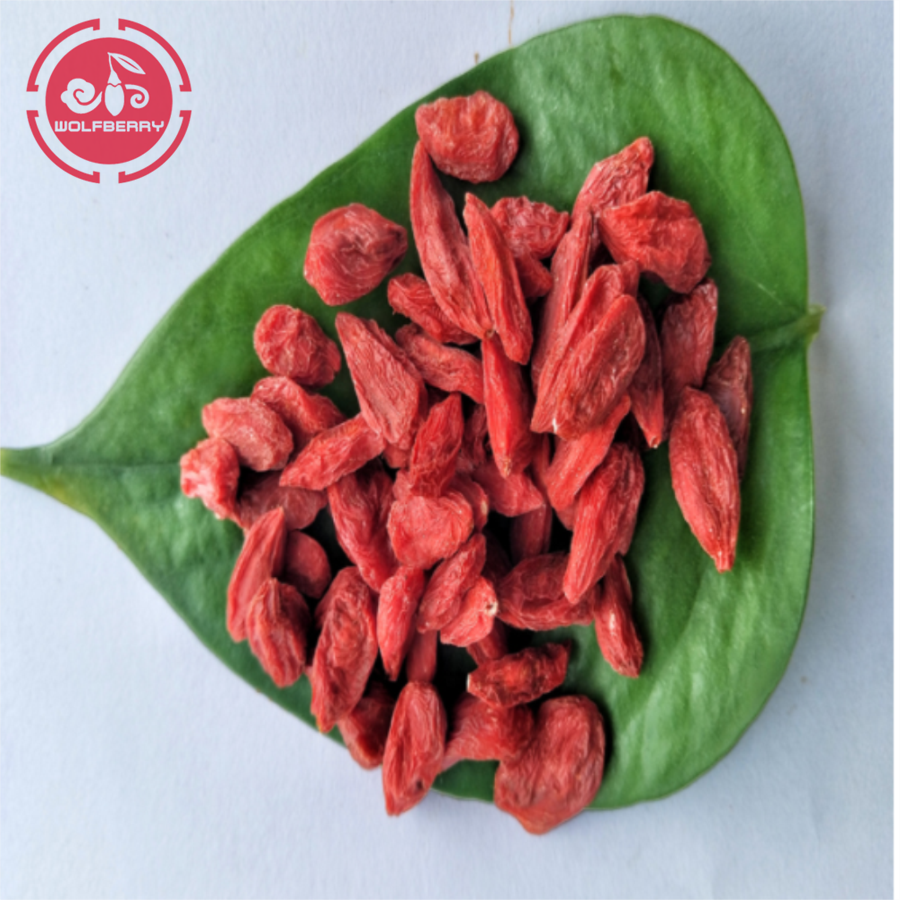 Siêu thực phẩm thúc đẩy sức khỏe sức khỏe Goji Berries