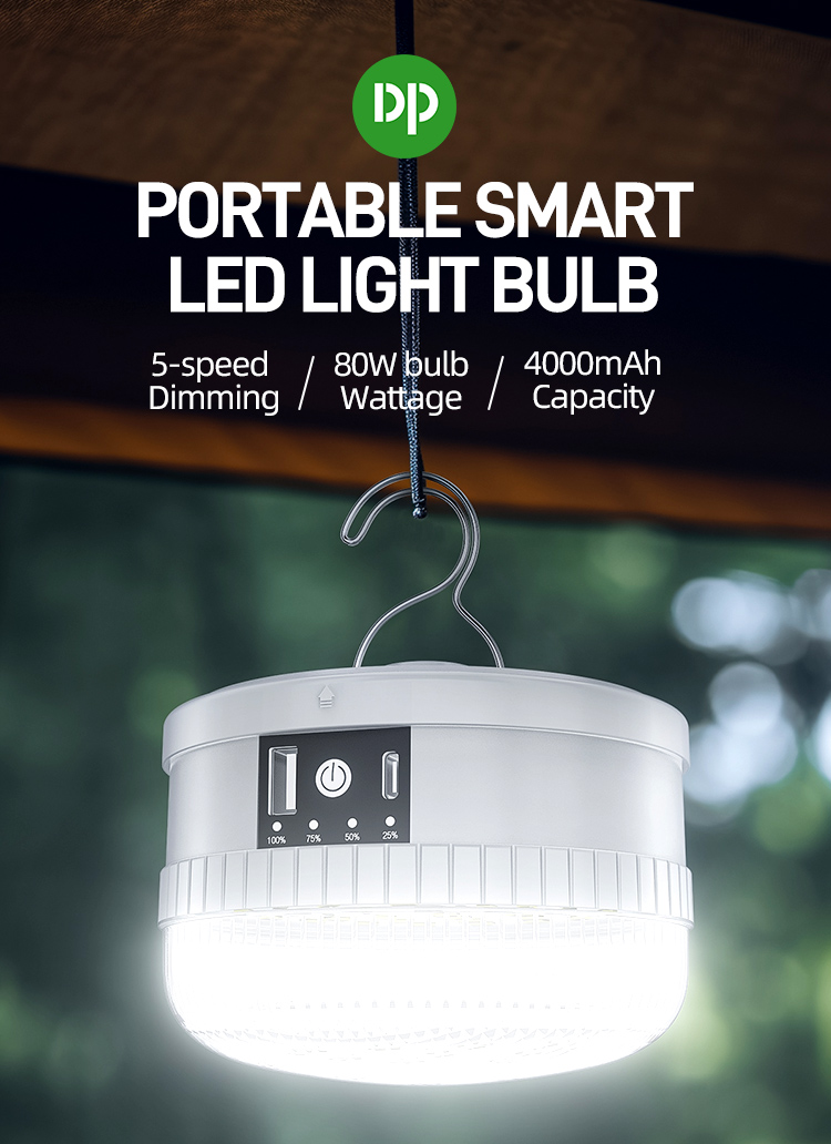 Outdoor Emergency Bulb