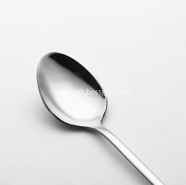 Stainless Steel Spoon