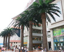 6m high large outdoor artificial palm trees date palm trees