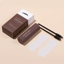 One Step Eyebrow Stamp Shaping Kit