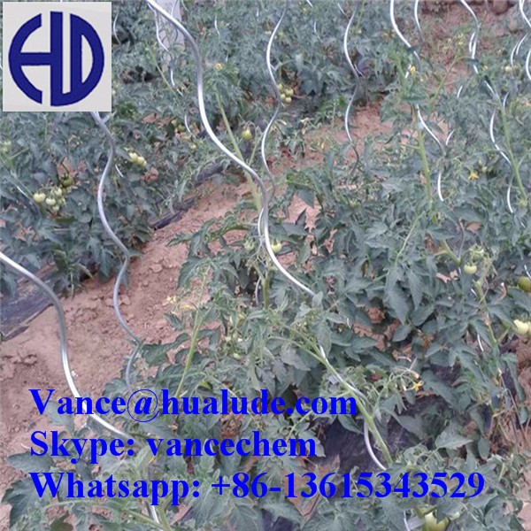 Plant Support Wire / Tomato Growing Spiral / Grape Frame