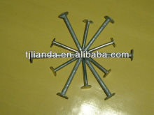 Bright Electro Galvanized Hot Dipped Galvanized Roofing Nail