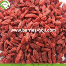 Wholesale Nutrition Dried Raw Organic Goji Berries