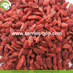 Buah-buahan Goji Berry Organik Kering Beras Borong