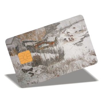 Custom Printable Plastic PVC RFID Contact Smart Cards