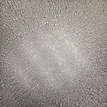 Environmentally Friendly Paint Coated Steel Aluminum