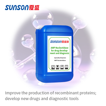 AMP Nucleotidase phosphatase hydrolyze sugar and phosphate