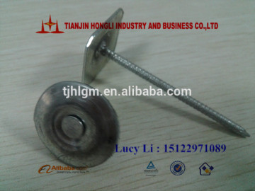 high quality square/round metal cap nail