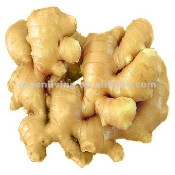 ginger export to European market