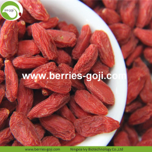 Rifornimento di fabbrica Healthy Natural Top Quality Goji