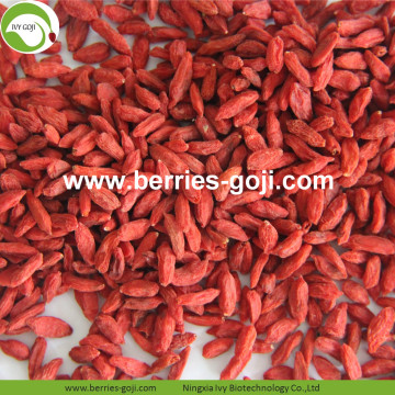 New Factory Dry Fruit Healthy Goji Berry