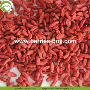 Pabrik Baru Buah Kering Sehat Goji Berry