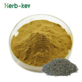 Natural Organic Apocynum Venetum Extract Powder