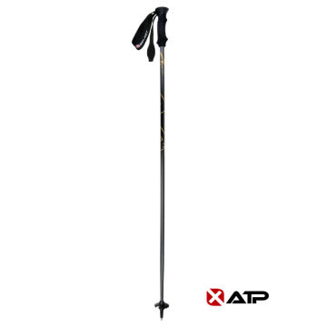 Super Light Carbon Alpine Ski Pole