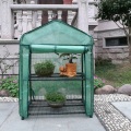 Skyplant small Garden Greenhouse for Indoor pianta