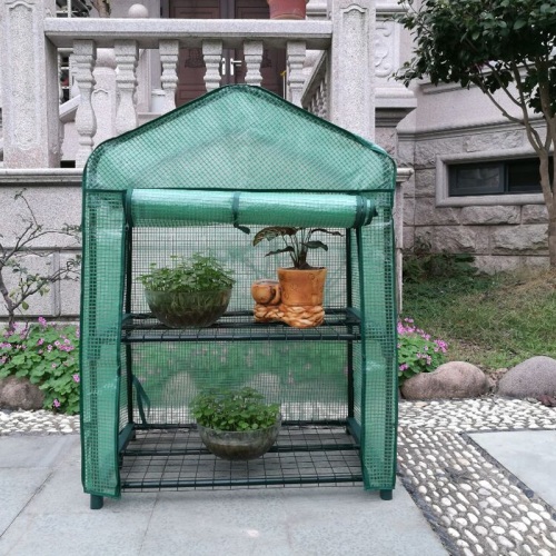 Skyplant small Garden Greenhouse for Indoor pianta