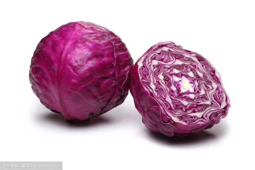 Purple Cabbage for Sale