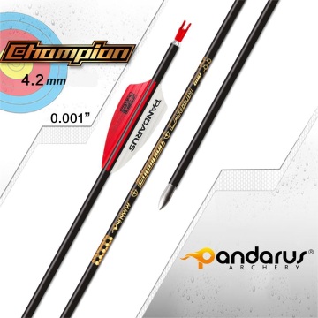 Professional Pandarus Champion ID4.2mm Pure Carbon Arrows for Target Shooting: High Precision with 0.001\" Straightness