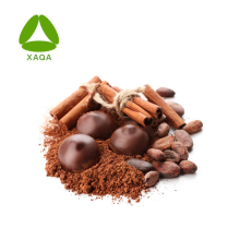 Cacao Powder 99% Pure Superfood Natural Organic