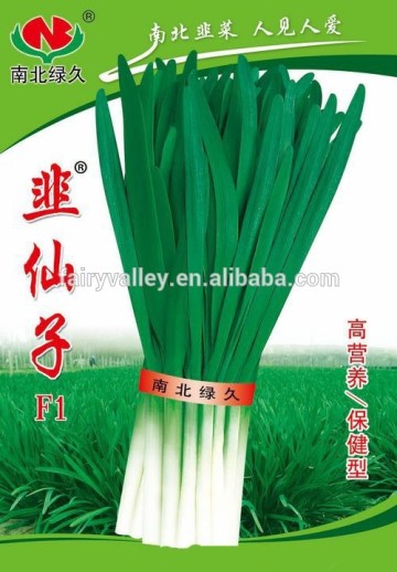 High Yield Hybrid F1 Chinese Chives Seeds Leek Seeds For Growing-Leek Fairy F1