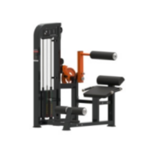 Commercial Gym Seated Abdominal Crunch/Back Extension