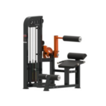 Commercial Gym Seated Abdominal Crunch/Back Extension