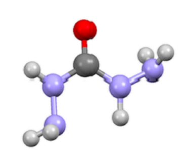 Carbonic Dihydrazide Organic Intermediate Carbohydrazide