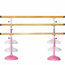 Affordable Portable Ballet Barre for Dance and Gymnastics