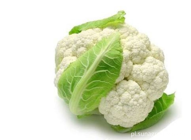 Green Fresh Cauliflower