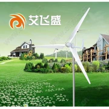 1KW windmill pmg
