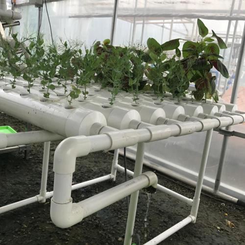 Garden Grow Kit Masa Kapalı Grow hidroponik sistem