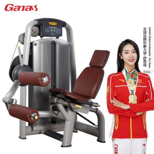 Profesyonel Yıldız Otel Spor Salonu Egzersiz Makinesi Bacak Kıvrımı