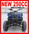 安い価格で新しいホット 250 cc ATV