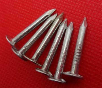 galvanized square boat nails/copper square boat nail