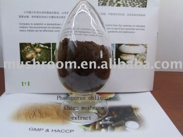 Inonotus obliquus extract,Chaga mushroom extract,Chaga Extract,Chaga powder,chaga