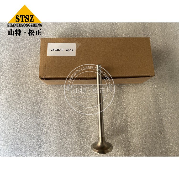 3803519 2 Jpg 3803519 2 Jpg