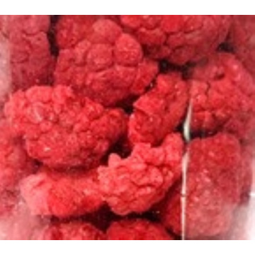 Wholesale Superfoods Freeze Dried Raspberry