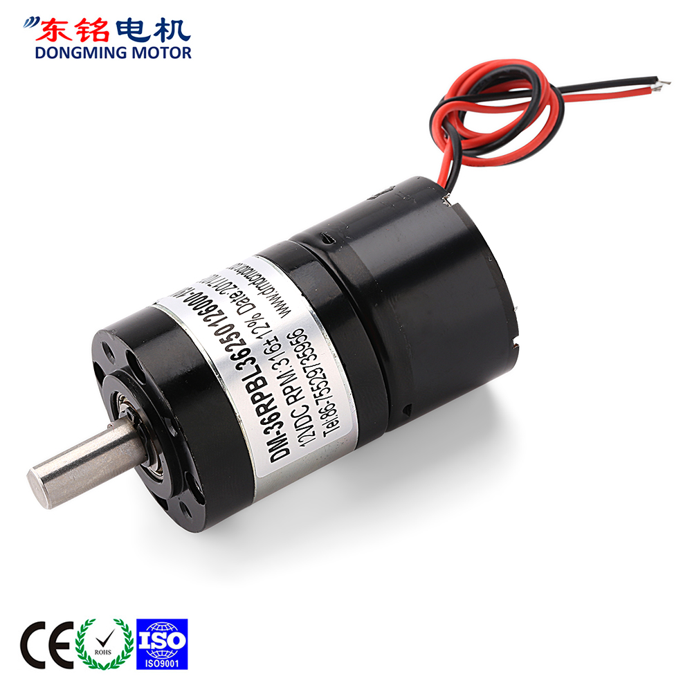 gear motor dc 24v