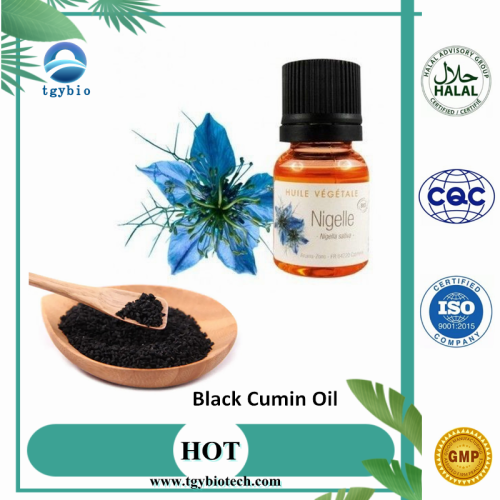 100% Natural Black Cumin Seeds Oil 4% Thymoquinone