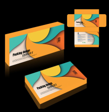 special and high quanlity plastic box packaging