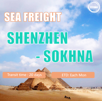 Sea Freight From Shenzhen To Sokhna Egypt